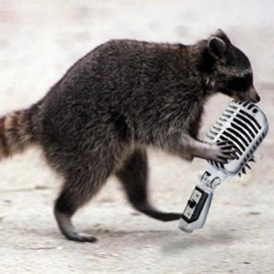 RADIO RACOON